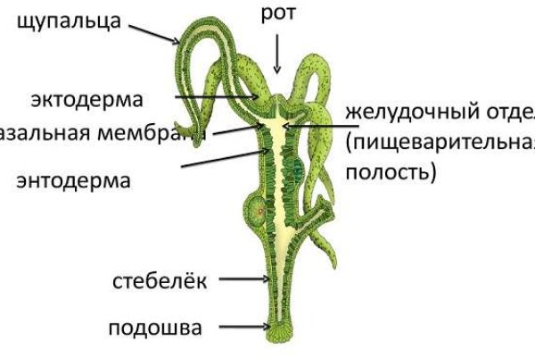 Кракен даркнет вход