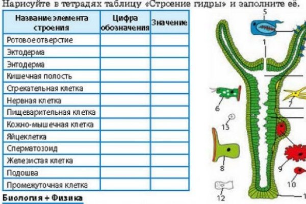 Как найти ссылку на кракен